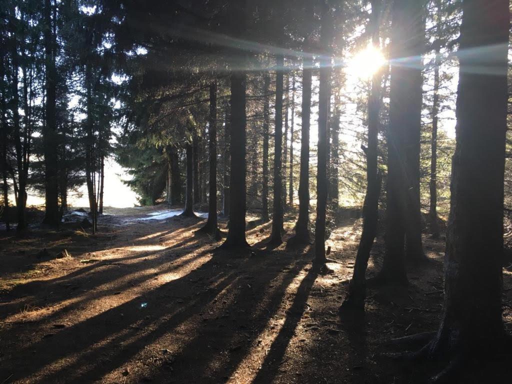 Apartmány Forest Kovářská Exterior foto